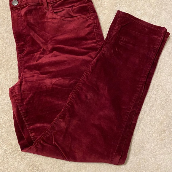 Loft velvet type regular length pants - Picture 2 of 2